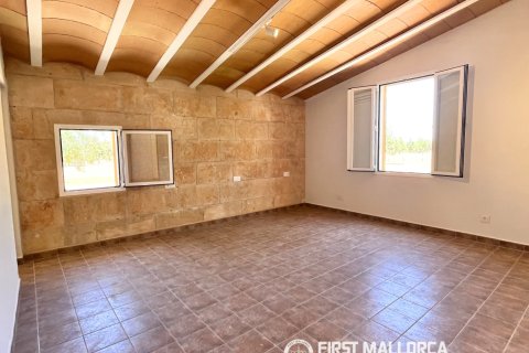 Finca vuokrattavana Campos, Mallorca, Espanja, 1 makuuhuone, 78 m2 No. 177324 - kuva 8