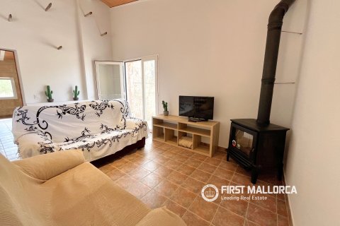Finca en alquiler en Campos, Mallorca, España 1 dormitorio, 78 m2 No. 177324 - foto 19