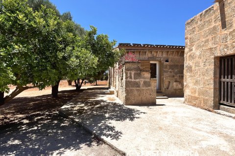 Finca vuokrattavana Campos, Mallorca, Espanja, 1 makuuhuone, 78 m2 No. 177324 - kuva 19