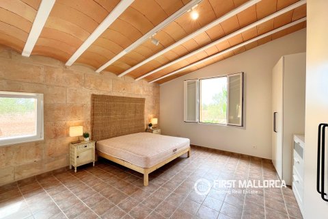 Finca en alquiler en Campos, Mallorca, España 1 dormitorio, 78 m2 No. 177324 - foto 23