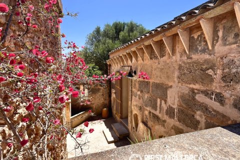 Finca vuokrattavana Campos, Mallorca, Espanja, 1 makuuhuone, 78 m2 No. 177324 - kuva 14
