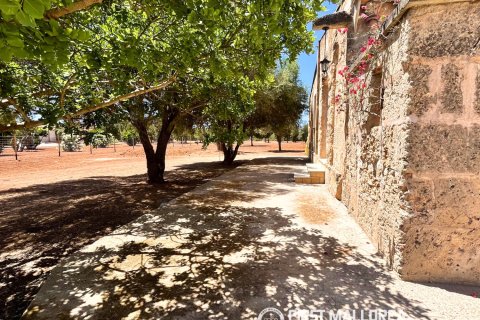 Finca vuokrattavana Campos, Mallorca, Espanja, 1 makuuhuone, 78 m2 No. 177324 - kuva 16
