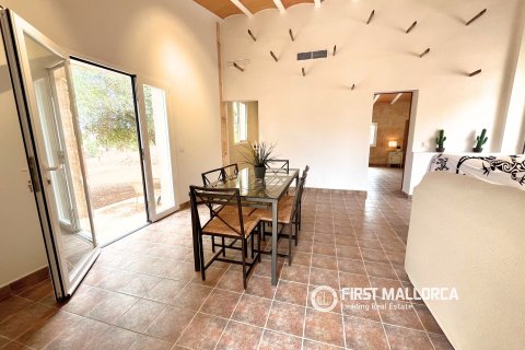 Finca en alquiler en Campos, Mallorca, España 1 dormitorio, 78 m2 No. 177324 - foto 24