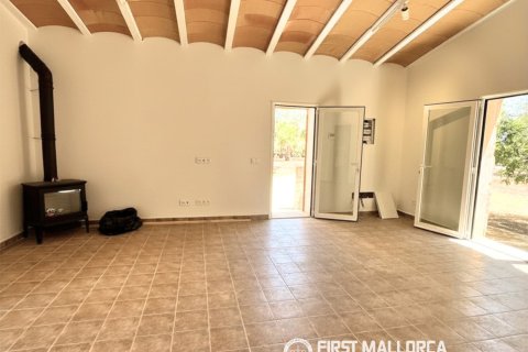 Finca vuokrattavana Campos, Mallorca, Espanja, 1 makuuhuone, 78 m2 No. 177324 - kuva 5