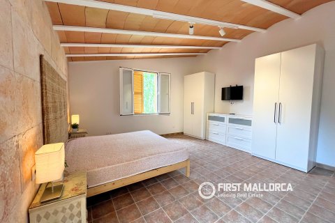 Finca en alquiler en Campos, Mallorca, España 1 dormitorio, 78 m2 No. 177324 - foto 22