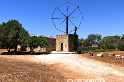 Finca vuokrattavana Campos, Mallorca, Espanja, 1 makuuhuone, 78 m2 No. 177324 - kuva 18