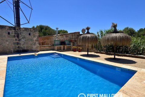 Finca vuokrattavana Campos, Mallorca, Espanja, 1 makuuhuone, 78 m2 No. 177324 - kuva 11