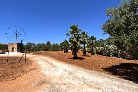 Finca vuokrattavana Campos, Mallorca, Espanja, 1 makuuhuone, 78 m2 No. 177324 - kuva 20