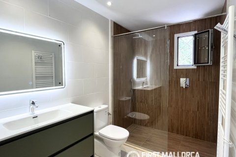 Finca vuokrattavana Campos, Mallorca, Espanja, 1 makuuhuone, 78 m2 No. 177324 - kuva 9