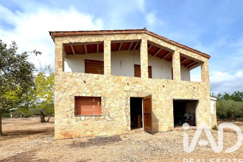 Terreno a L'Ampolla, Tarragona, Spagna 7000 mq. N° 185493
