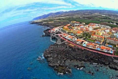 Villa à vendre Guia de Isora, Tenerife, Espagne, 6 chambres, 768 m2 No. 111101 - photo 2