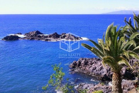 Villa à vendre Guia de Isora, Tenerife, Espagne, 6 chambres, 768 m2 No. 111101 - photo 3