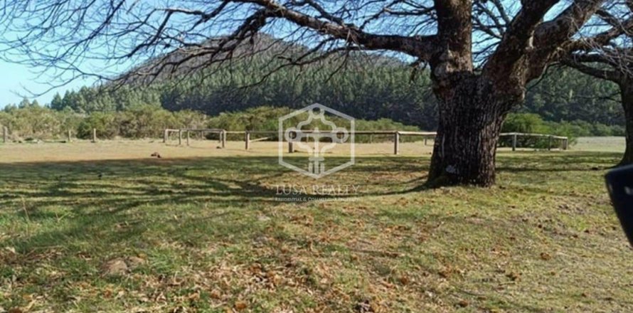 Villa La Matanza de Acentejo, Tenerife, Spain No. 111099