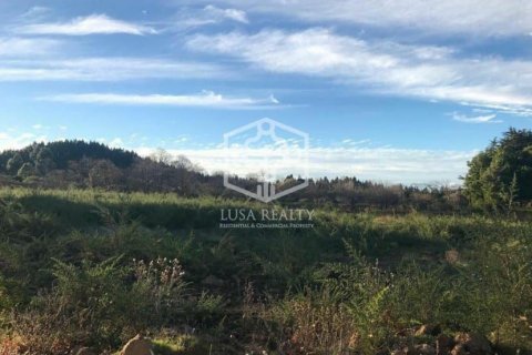 Villa for sale La Matanza de Acentejo, Tenerife, Spain No. 111099 - photo 6