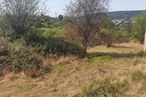 Terreno in vendita a Berga, Barcelona, Spagna N° 191474 - foto 10