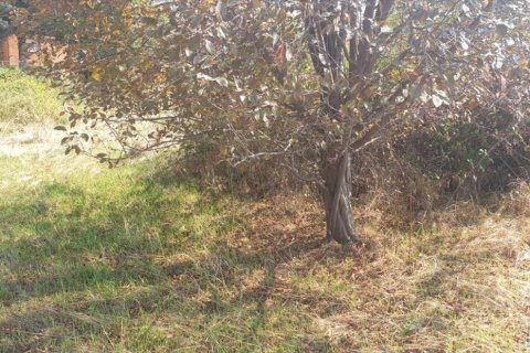 Terreno in vendita a Berga, Barcelona, Spagna N° 191474 - foto 11