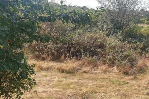 Terreno in vendita a Berga, Barcelona, Spagna N° 191474 - foto 14