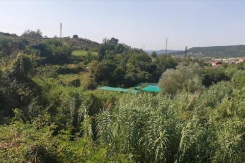 Terreno in vendita a Berga, Barcelona, Spagna N° 191474 - foto 23