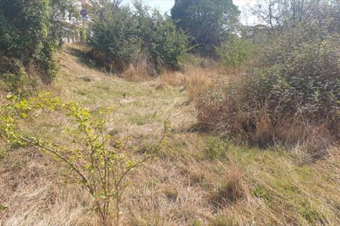 Terreno in vendita a Berga, Barcelona, Spagna N° 191474 - foto 9