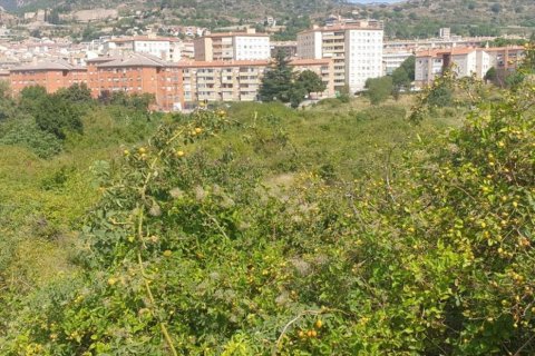 Terreno in vendita a Berga, Barcelona, Spagna N° 191474 - foto 20