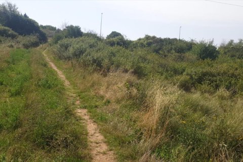 Terreno in vendita a Berga, Barcelona, Spagna N° 191474 - foto 19