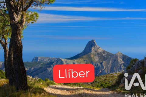 Дом в Ллибер, Аликанте, Испания 1 спальня, 105м2 №152624