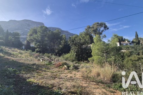 Terreno in vendita a Denia, Alicante, Spagna 924 mq. N° 152622 - foto 6
