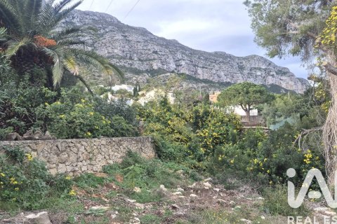 Terreno in vendita a Denia, Alicante, Spagna 924 mq. N° 152622 - foto 14