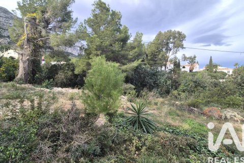 Terreno in vendita a Denia, Alicante, Spagna 924 mq. N° 152622 - foto 13