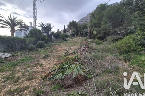 Terreno in vendita a Denia, Alicante, Spagna 924 mq. N° 152622 - foto 19