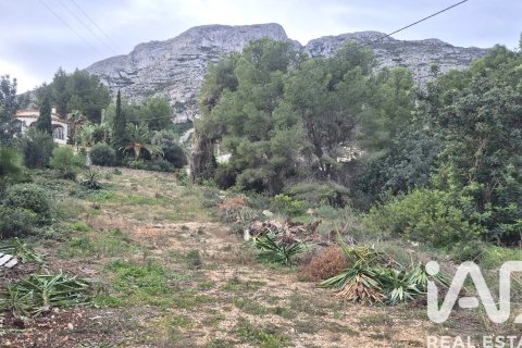 Terreno in vendita a Denia, Alicante, Spagna 924 mq. N° 152622 - foto 10