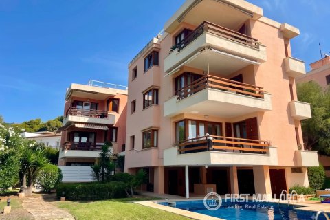 Huoneisto vuokrattavana Port D'andratx, Mallorca, Espanja, 2 makuuhuonetta, 72 m2 No. 192420 - kuva 18
