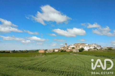 Продажа земельного участка в Беллвей, Таррагона, Испания 15027м2 №187885 - фото 7