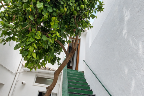 Penthäuser zum Verkauf in Tarifa, Cadiz, Spanien 2 Schlafzimmer, 70 m2 Nr. 196533 - Foto 25