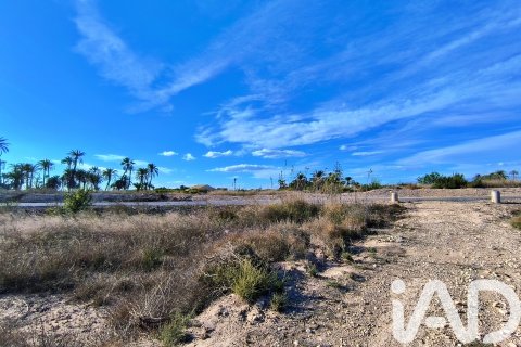 Terreno in vendita a Elche, Alicante, Spagna 44870 mq. N° 152874 - foto 14