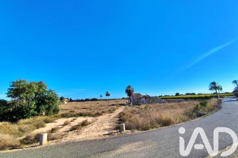 Terreno in vendita a Elche, Alicante, Spagna 44870 mq. N° 152874 - foto 7
