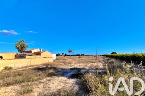 Terreno in vendita a Elche, Alicante, Spagna 44870 mq. N° 152874 - foto 8