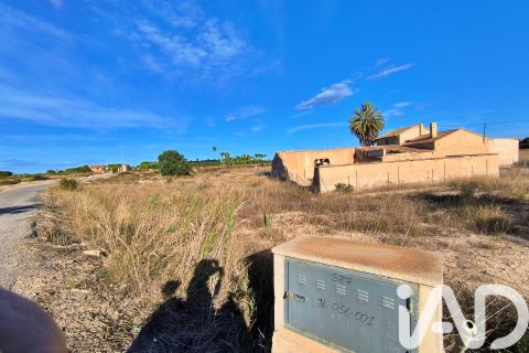 Terreno in vendita a Elche, Alicante, Spagna 44870 mq. N° 152874 - foto 11