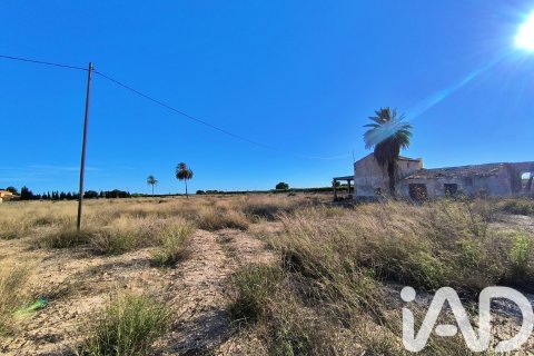 Terreno in vendita a Elche, Alicante, Spagna 44870 mq. N° 152874 - foto 13