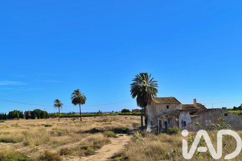 Земельный участок в Эльче, Аликанте, Испания 44870м2 №152874