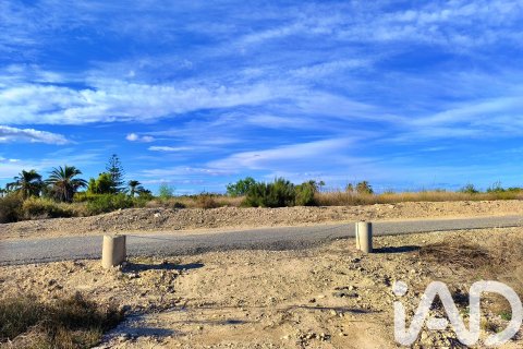 Terreno in vendita a Elche, Alicante, Spagna 44870 mq. N° 152874 - foto 19