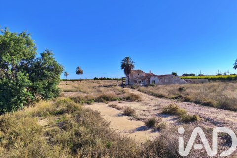 Terreno in vendita a Elche, Alicante, Spagna 44870 mq. N° 152874 - foto 18