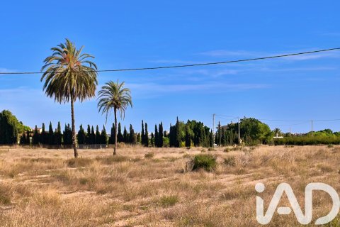 Terreno in vendita a Elche, Alicante, Spagna 44870 mq. N° 152874 - foto 9