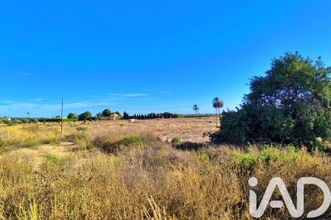 Terreno in vendita a Elche, Alicante, Spagna 44870 mq. N° 152874 - foto 17
