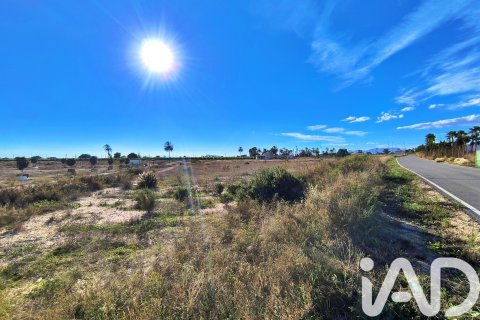 Terreno in vendita a Elche, Alicante, Spagna 44870 mq. N° 152874 - foto 16