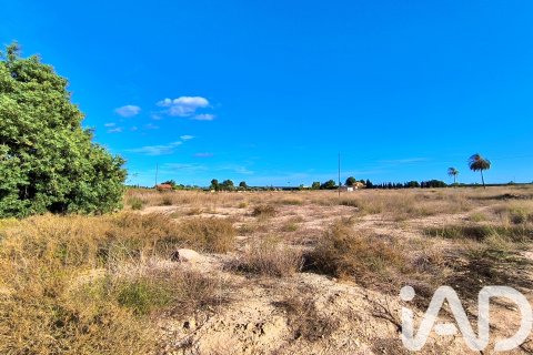 Terreno in vendita a Elche, Alicante, Spagna 44870 mq. N° 152874 - foto 15