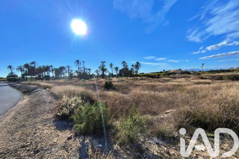 Terreno in vendita a Elche, Alicante, Spagna 44870 mq. N° 152874 - foto 12