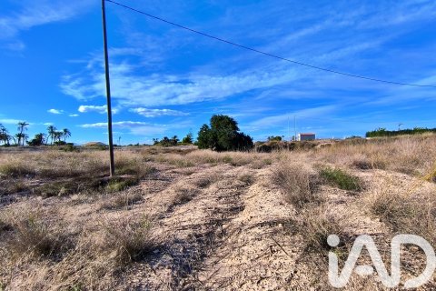Terreno in vendita a Elche, Alicante, Spagna 44870 mq. N° 152874 - foto 4
