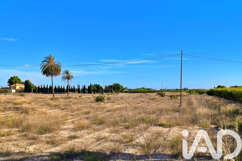 Terreno in vendita a Elche, Alicante, Spagna 44870 mq. N° 152874 - foto 10