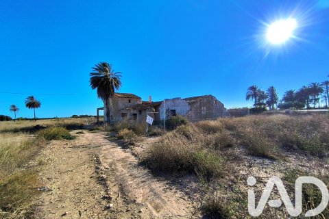 Terreno in vendita a Elche, Alicante, Spagna 44870 mq. N° 152874 - foto 3